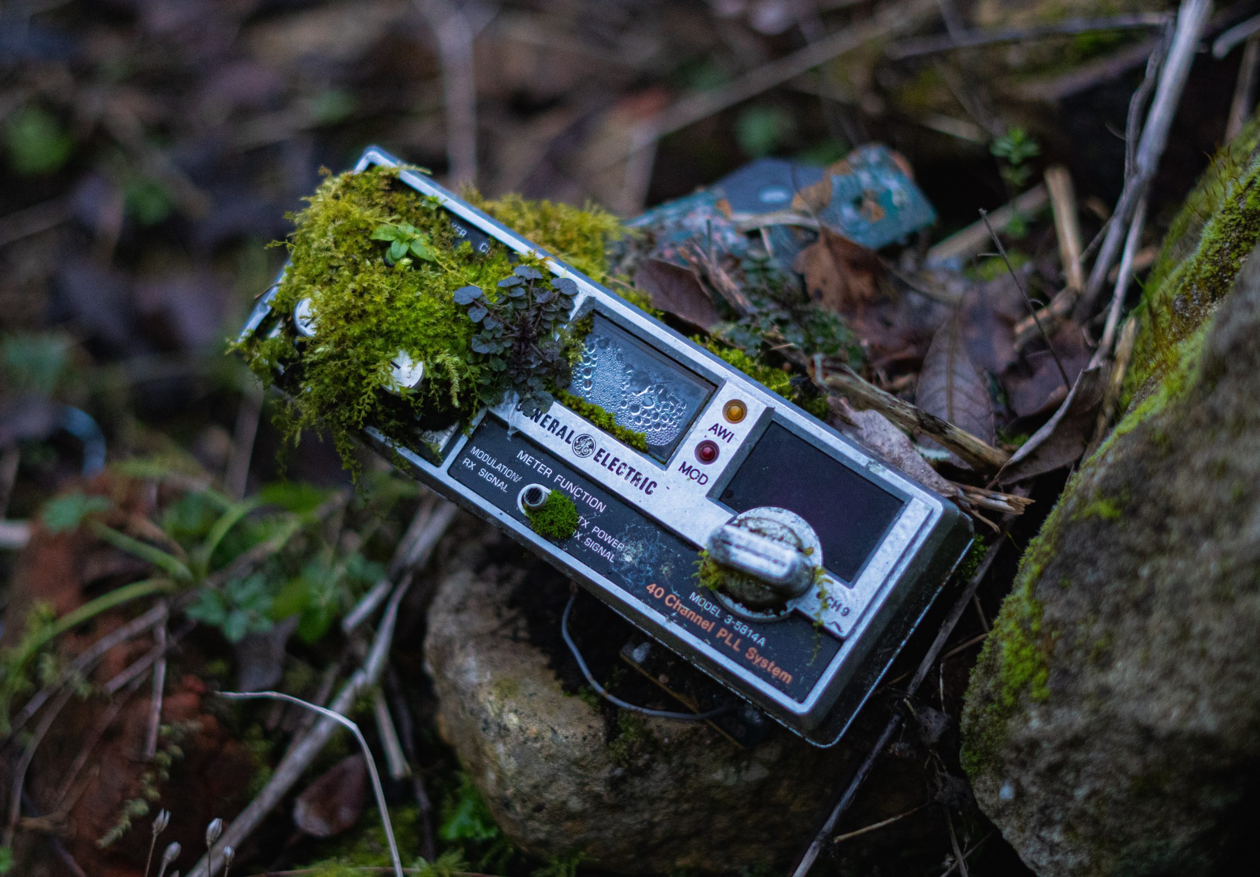 Immagine per Resistance Frequencies short story