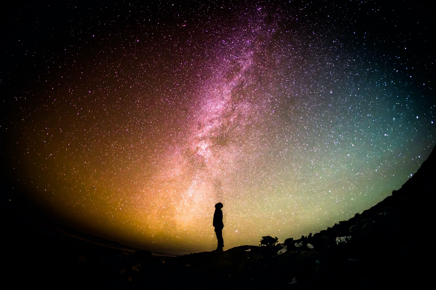 copertina per the space I inhabit short story
