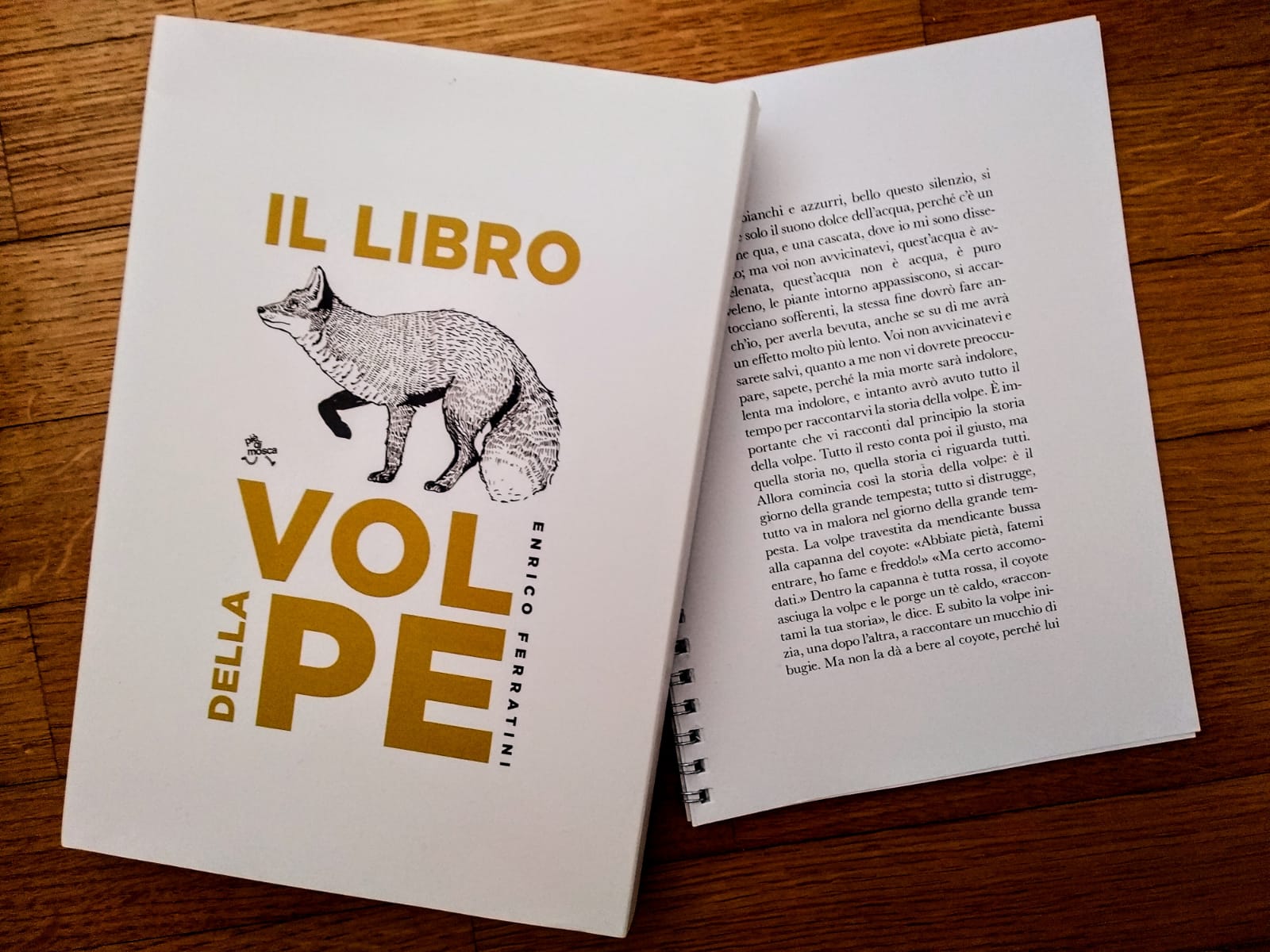 Enrico Ferratini Il libro della volpe recensione