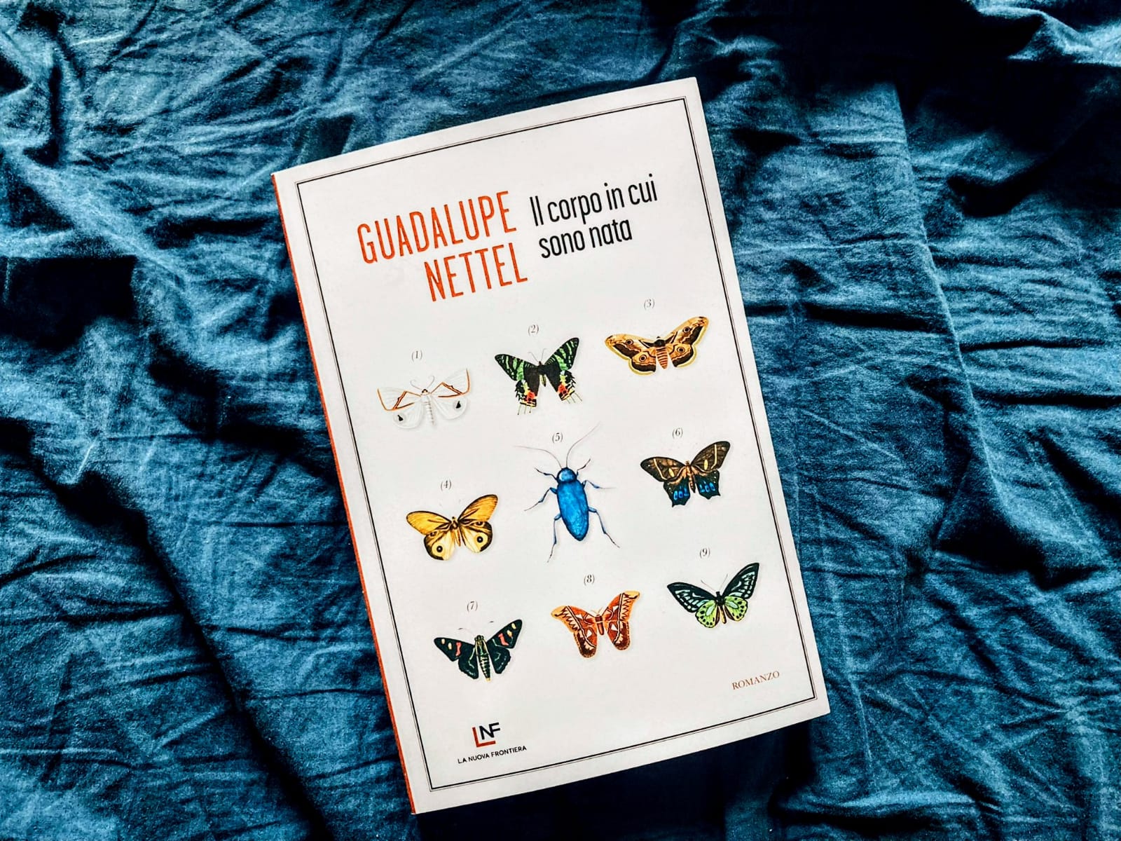 Nettel Corpo in cui sono nata