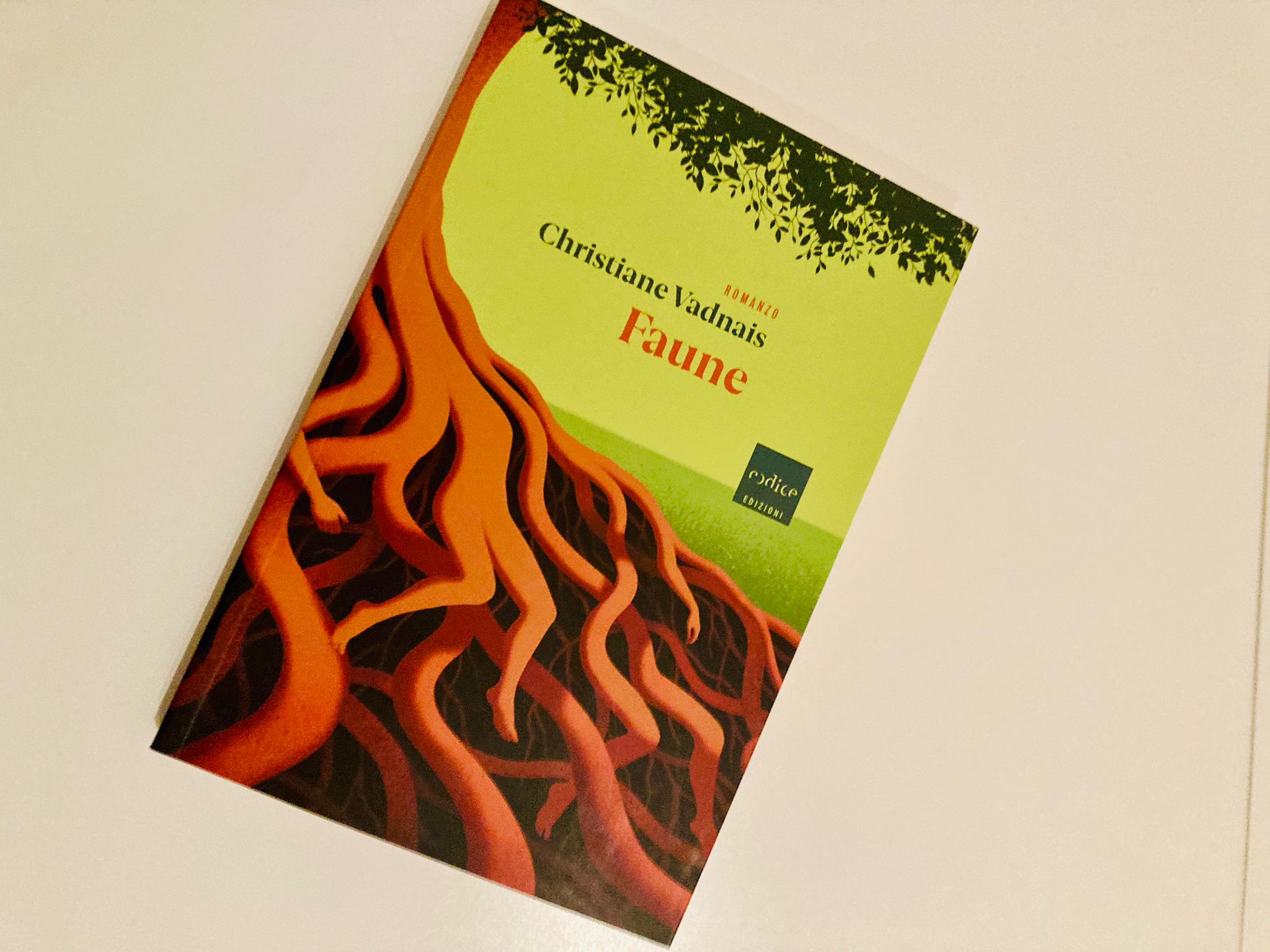 Christiane Vadnais Faune racconti codice edizioni recensione