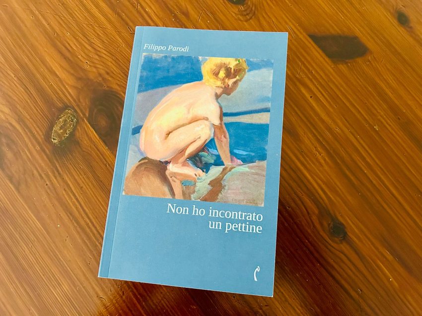 Filippo Parodi Non ho incontrato un pettine Poesie